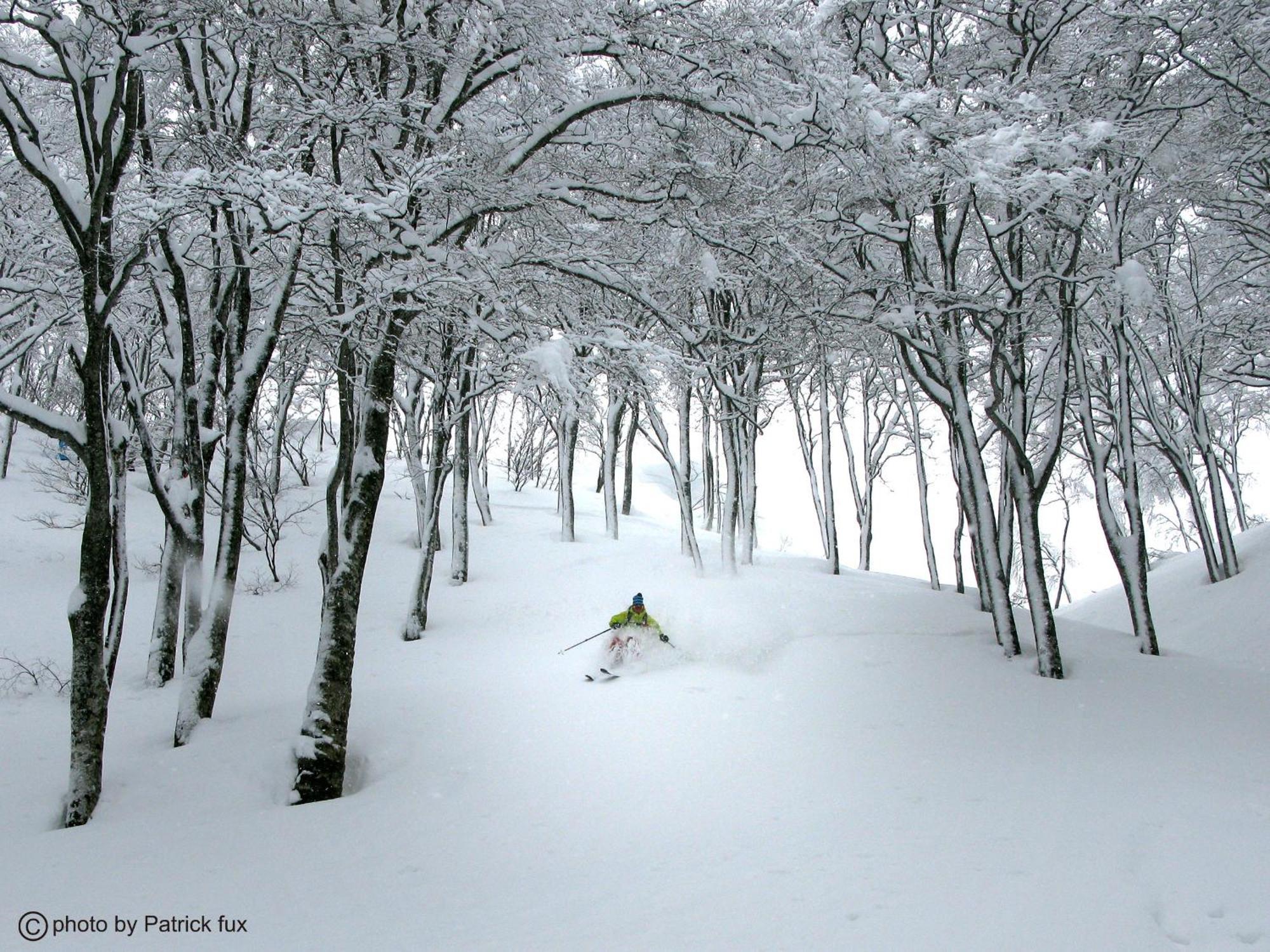 Hotel Green Plaza Hakuba Otari Exterior foto